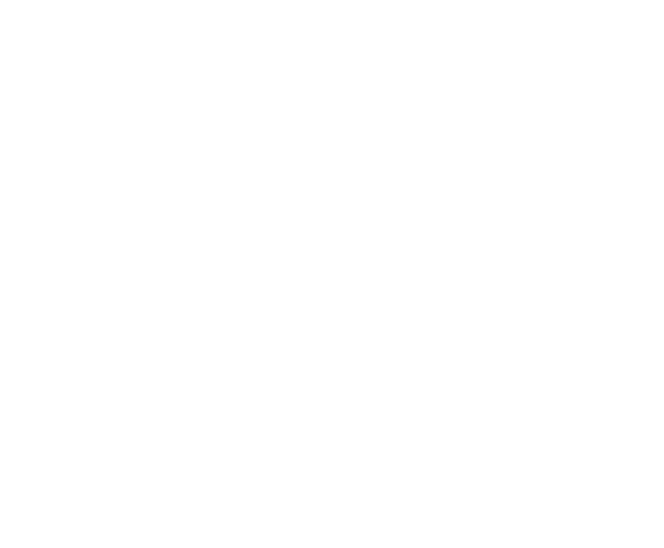 ASL Boxe La Ricamarie